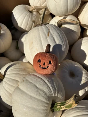 Ooky Jack O Lantern Jellycat photo