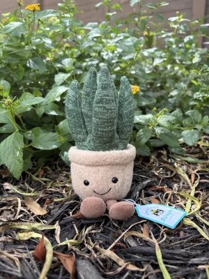 Amuseable Aloe Vera - Small Jellycat | Jelly Journal