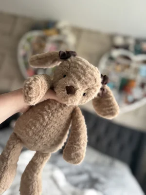 A photo of Rolie Polie Puppy Jellycat taken by Jellyjournal1