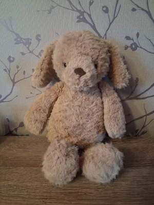 A photo of Rolie Polie Puppy Jellycat taken by Hope_Collectablez