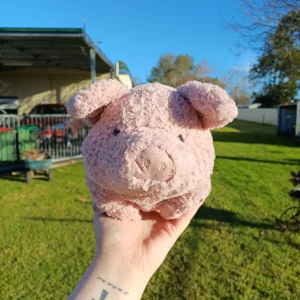 Rondle Pig Jellycat photo uploaded by herbgardenplush
