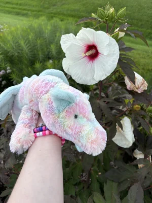 Lazulia Dragon - Large Jellycat photo uploaded by olliejellies