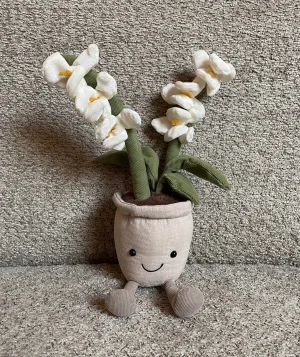 Amuseables Cream Orchid Jellycat | Jelly Journal