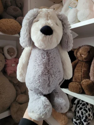 A photo of Bashful Chaucer Dog - Medium Jellycat taken by Kitsfae