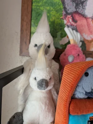 A photo of Bashful Cockatoo Jellycat taken by Ellent