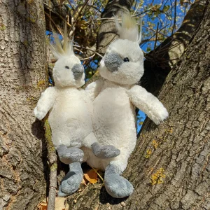 Bashful Cockatoo Jellycat photo uploaded by herbgardenplush