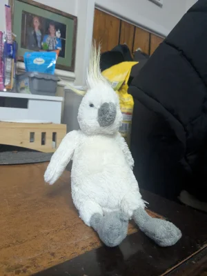 Bashful Cockatoo Jellycat photo