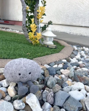 A photo of Amuseables Pebble Jellycat taken by jelly20