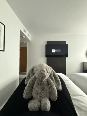 A photo of Bashful Birch Bunny - Medium Jellycat taken by laureneaglex