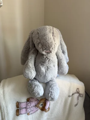 A photo of Bashful Birch Bunny - Medium Jellycat taken by Nia_louise