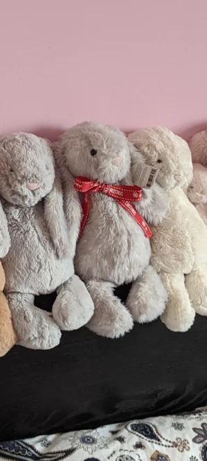 A photo of Bashful Birch Bunny - Medium Jellycat taken by Kitsfae
