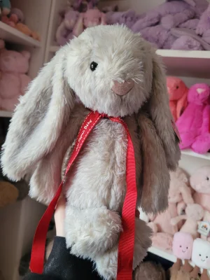 A photo of Bashful Birch Bunny - Medium Jellycat taken by Kitsfae