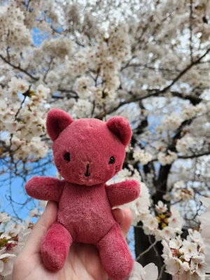 Sweetsicle Cat Jellycat photo uploaded by emilliebee