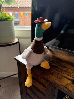 Morgan Mallard Jellycat | Jelly Journal