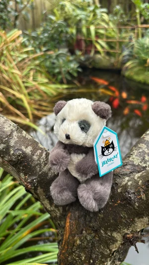 A photo of Harry Panda Cub - Tiny Jellycat taken by Jelly_Journey