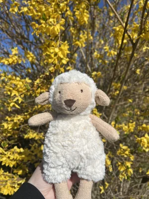 Lollie Lamb Jellycat | Jelly Journal