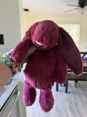A photo of Bashful Sparkly Cassis Bunny - Medium Jellycat taken by alinsey