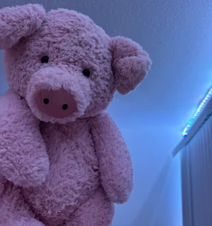 Barnabus Pig - Huge Jellycat | Jelly Journal