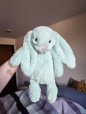 Bashful Mint Bunny - Medium Jellycat photo