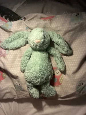 A photo of Bashful Mint Bunny - Medium Jellycat taken by Paige_Aris