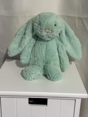A photo of Bashful Mint Bunny - Small Jellycat taken by Bunnylove