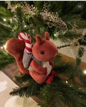 Fungi Forager Squirrel Jellycat photo