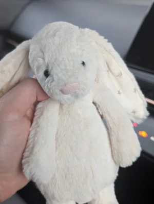 Bashful Twinkle Bunny - Small Jellycat photo