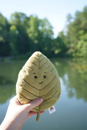 A photo of Woodland Beech Tree Leaf - Small Jellycat taken by purasara