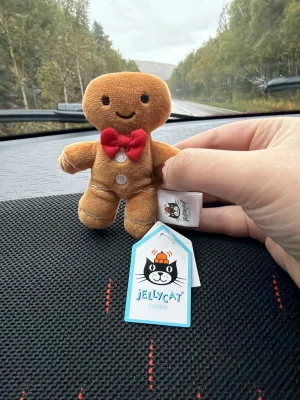 Festive Folly Gingerbread Man Jellycat photo