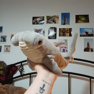 Harley Hammerhead Shark Jellycat photo uploaded by herbgardenplush