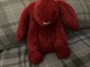 Bashful Luxe Bunny Scarlett Jellycat photo uploaded by Jellybunnys1984