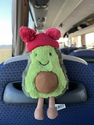 JELLY CAT　ぬいぐるみ　Amuseable Bobble Avocado Jellycat AMUSEABLES BOBBLE AVOCADO - Small 5