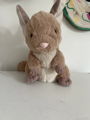 A photo of Cheeky Sandy Chinchilla Jellycat taken by Isla124