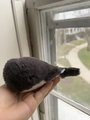 A photo of Wavelly Whale - Charcoal Jellycat taken by katsjellies