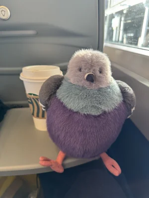 A photo of Leicester Pigeon 🇬🇧  Jellycat taken by TianaaLeeigh