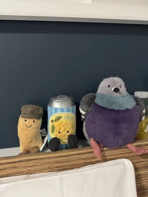 A photo of Leicester Pigeon 🇬🇧  Jellycat taken by TianaaLeeigh