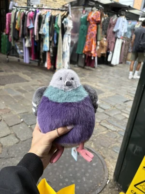 Leicester Pigeon 🇬🇧  Jellycat photo