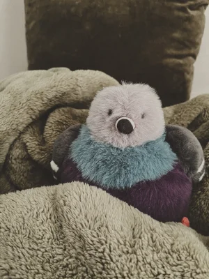 Leicester Pigeon 🇬🇧  Jellycat photo