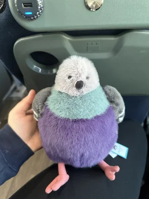 A photo of Leicester Pigeon 🇬🇧  Jellycat taken by Mads_