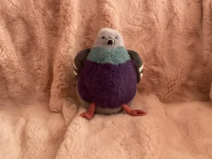 Leicester Pigeon 🇬🇧  Jellycat photo uploaded by doopsybunny