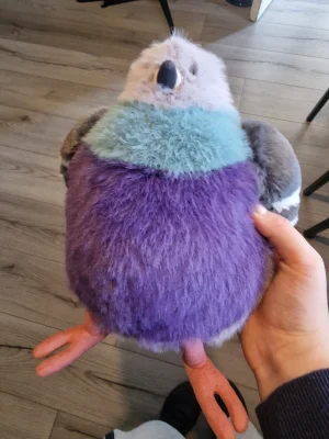 Leicester Pigeon 🇬🇧  Jellycat photo