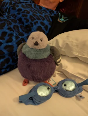 A photo of Leicester Pigeon 🇬🇧  Jellycat taken by Boo