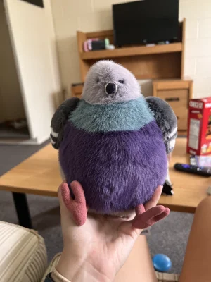 A photo of Leicester Pigeon 🇬🇧  Jellycat taken by a_cutty