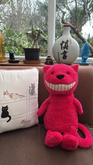 A photo of Toothy Cat Jellycat taken by Jelly_Journey