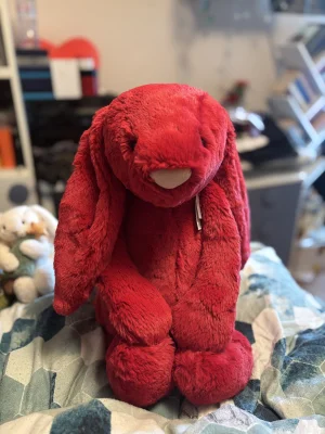 Bashful Luxe Bunny Scarlett - Huge Jellycat photo uploaded by monki123