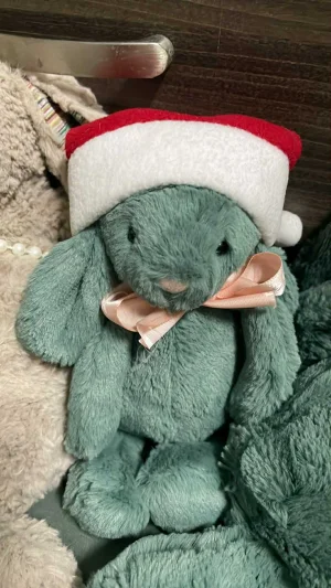 A photo of Bashful Forest Bunny - Small Jellycat taken by Tiff