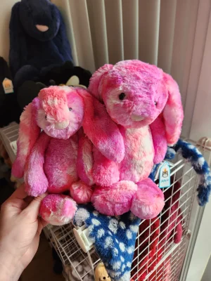 Bashful Sherbet Bunny - Medium Jellycat photo uploaded by emilliebee