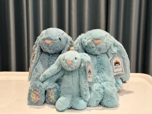 Blossom Aqua Bunny - Medium Jellycat | Jelly Journal