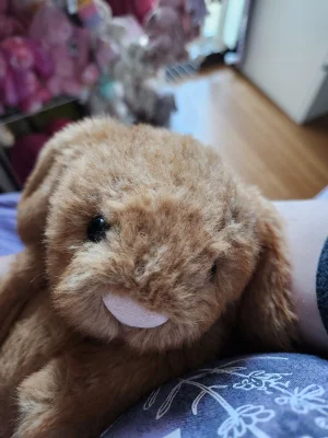 Bashful Maple Bunny - Medium Jellycat photo uploaded by emilliebee