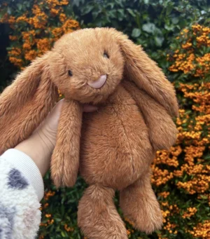 Bashful Maple Bunny - Medium Jellycat photo uploaded by lottyslittlejoys